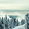 Cypress Bowl