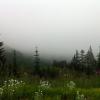 Mount Cheam