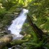 Crystal Falls