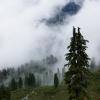 Elfin Lake (Squamish)