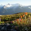 Singing Pass (Russet Lake) (Whistler)