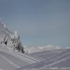 Mt. Seymour (North Vancouver)
