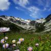 Brandywine Mountain (Whistler)