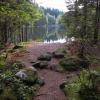 Lynn Canyon Park