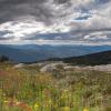 Trophy Meadows trail