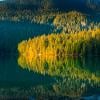 Cheakamus Lake