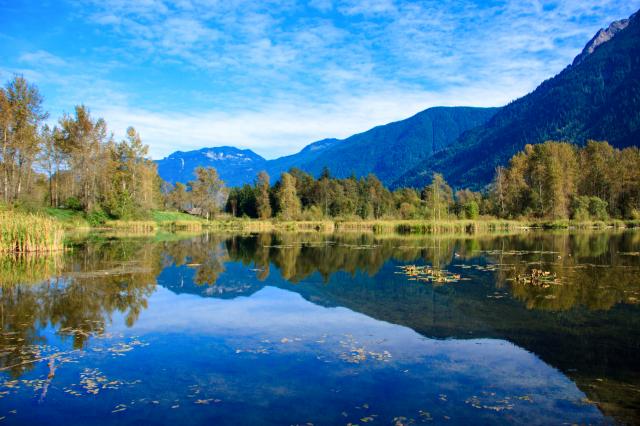 Cheam Lake Wetlands