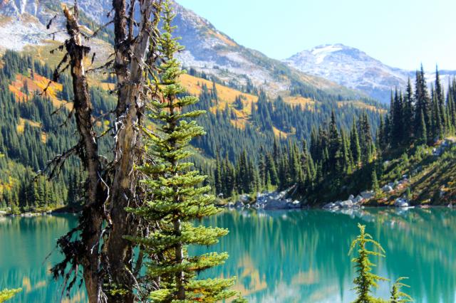 Wendy Thompson Hut Trail