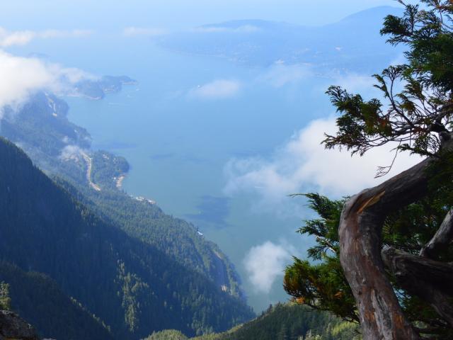St. Marks Summit