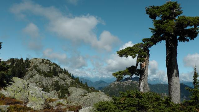 Mount Seymour