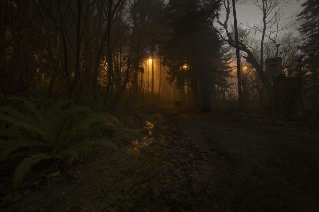 Eldon Trail