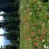 manning park