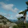Mount Seymour