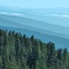 Eagle Bluff