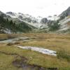 Brandywine Meadows