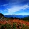Elfin Lakes