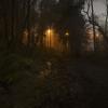 Eldon Trail
