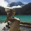 Joffre Lakes