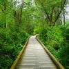 Burnaby Lake