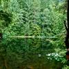 Four Lakes trail