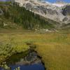 Brandywine Meadows