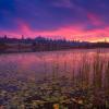 Deer Lake Park