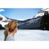 Emerald Lake trail