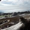 West Coast Trail