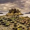 Whytecliff Park