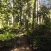 Cypress mountain