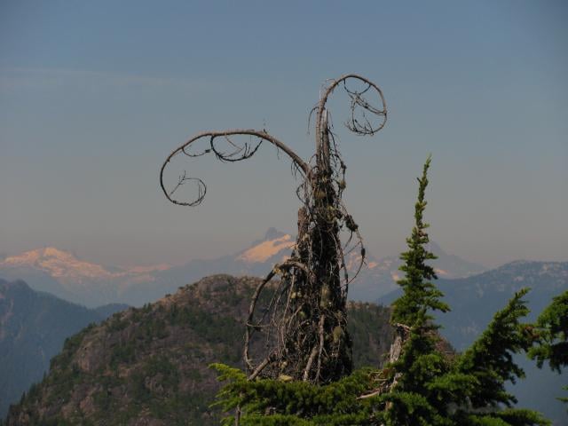 Goat Mountain
