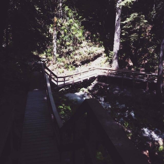 Baden Powell Trail