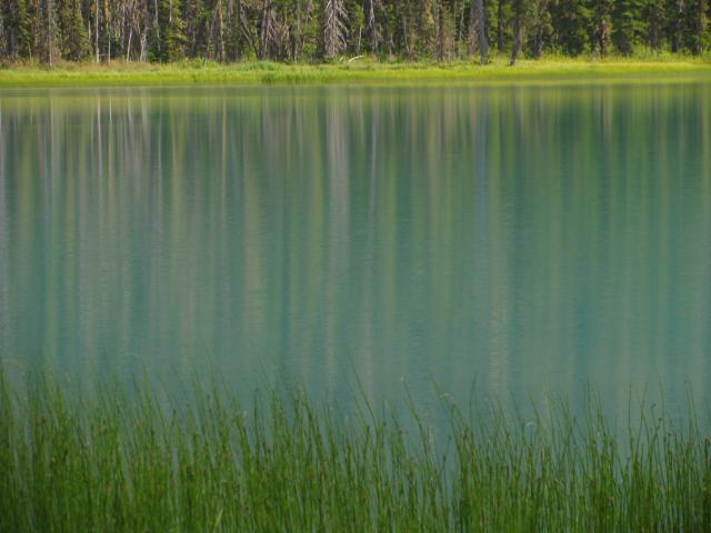Joffree Lakes