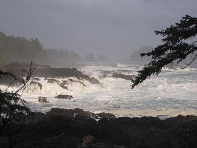 Wild Pacific Trail