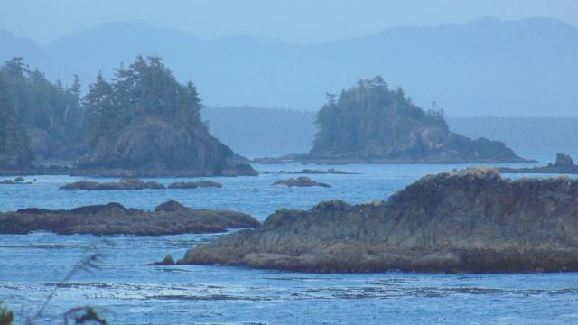 Wild Pacific Trail