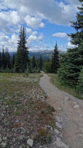 Paint Brush Trail