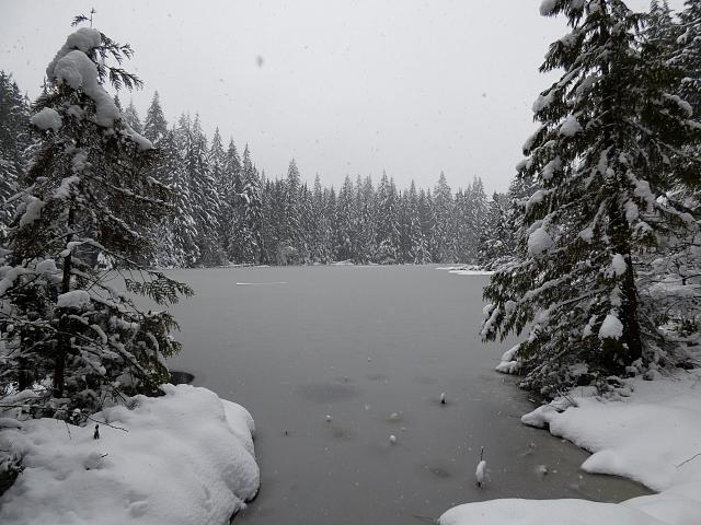 Mundy Park