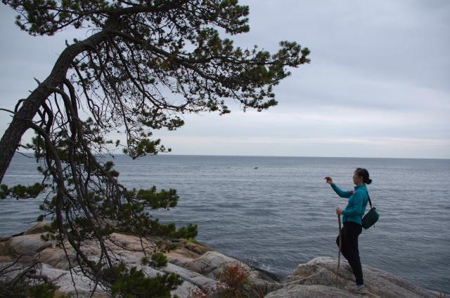 Lighthouse Park Trail
