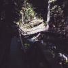 Baden Powell Trail