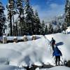 Mt. Cheam
