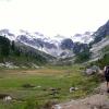 Brandywine Meadows
