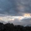 Wild Pacific Trail
