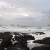 Wild Pacific Trail