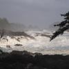 Wild Pacific Trail