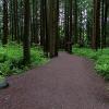 Mundy Park