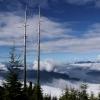 St. Mark's Summit