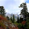 St. Mark's Summit