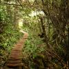 West Coast Trail