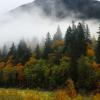HBC Brigade Trail