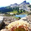 Panorama Ridge